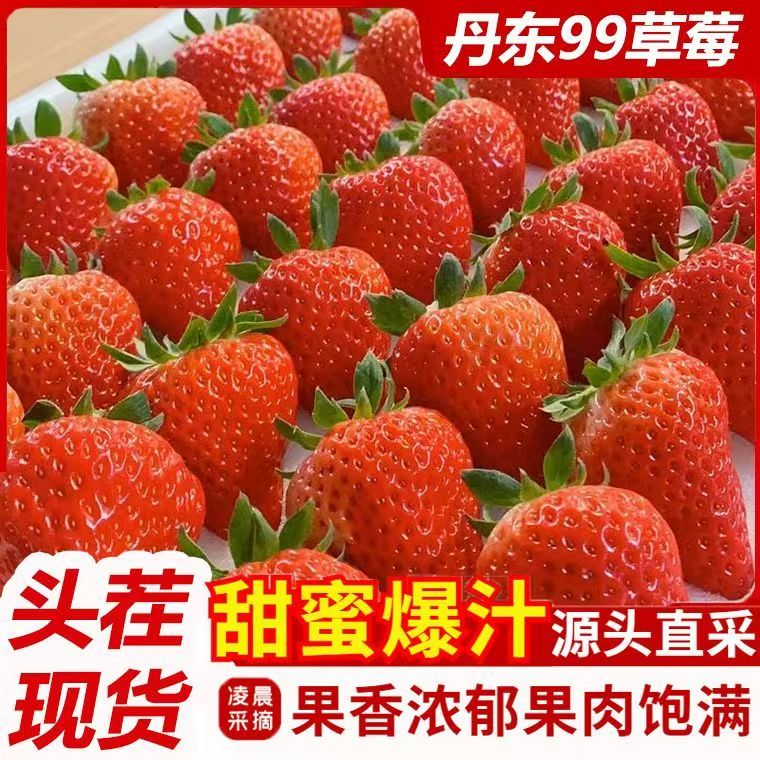 丹东九九红颜高端精品果现摘现发新鲜多汁九甜一奶香顺丰空运