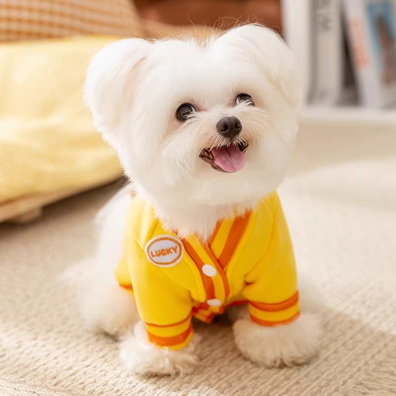 狗狗衣服宠物秋冬款泰迪比熊雪纳瑞小型犬立体小熊牵引两脚卫衣cy