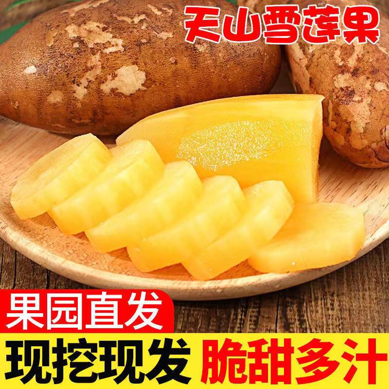 2025年云南天山雪莲果低糖头茬新鲜应季果脆甜多汁