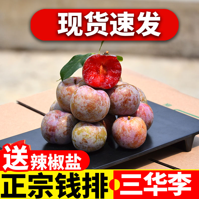 【新鲜速发】三华李子当季新鲜水果广西桂林钱排红心红肉酸野三华李