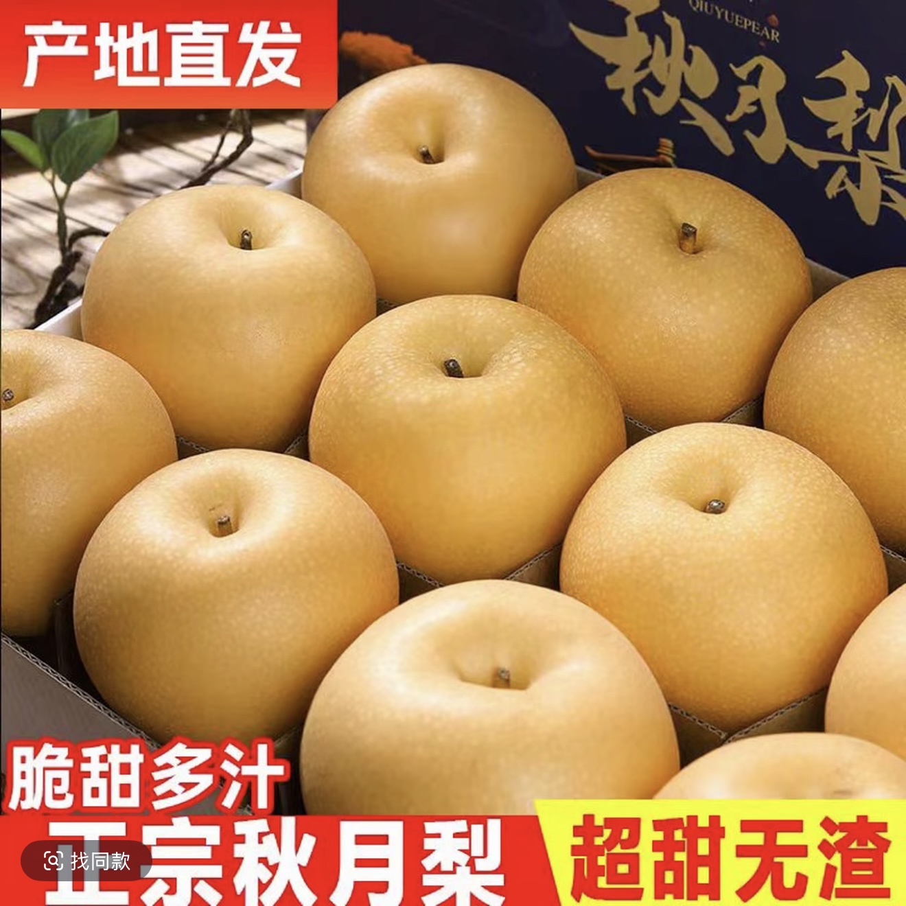 【产地助农】正宗烟台莱阳秋月梨新鲜冰糖梨当季水果秋月梨现摘皮薄