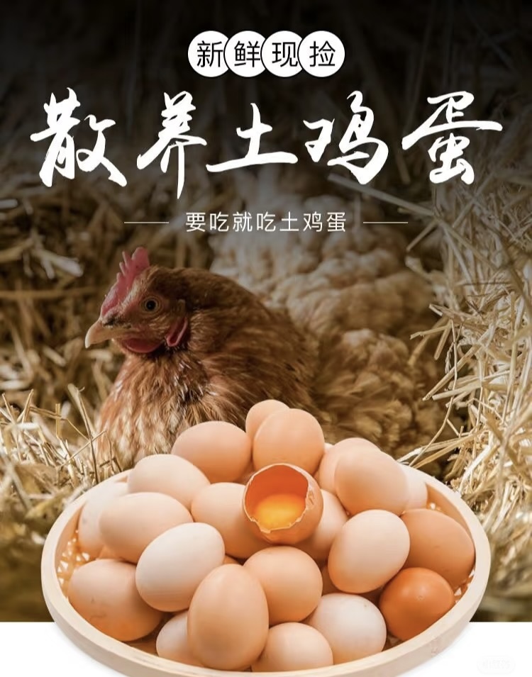 【精品大蛋】可生食50枚无抗无菌农家散养五谷杂粮营养土鸡蛋
