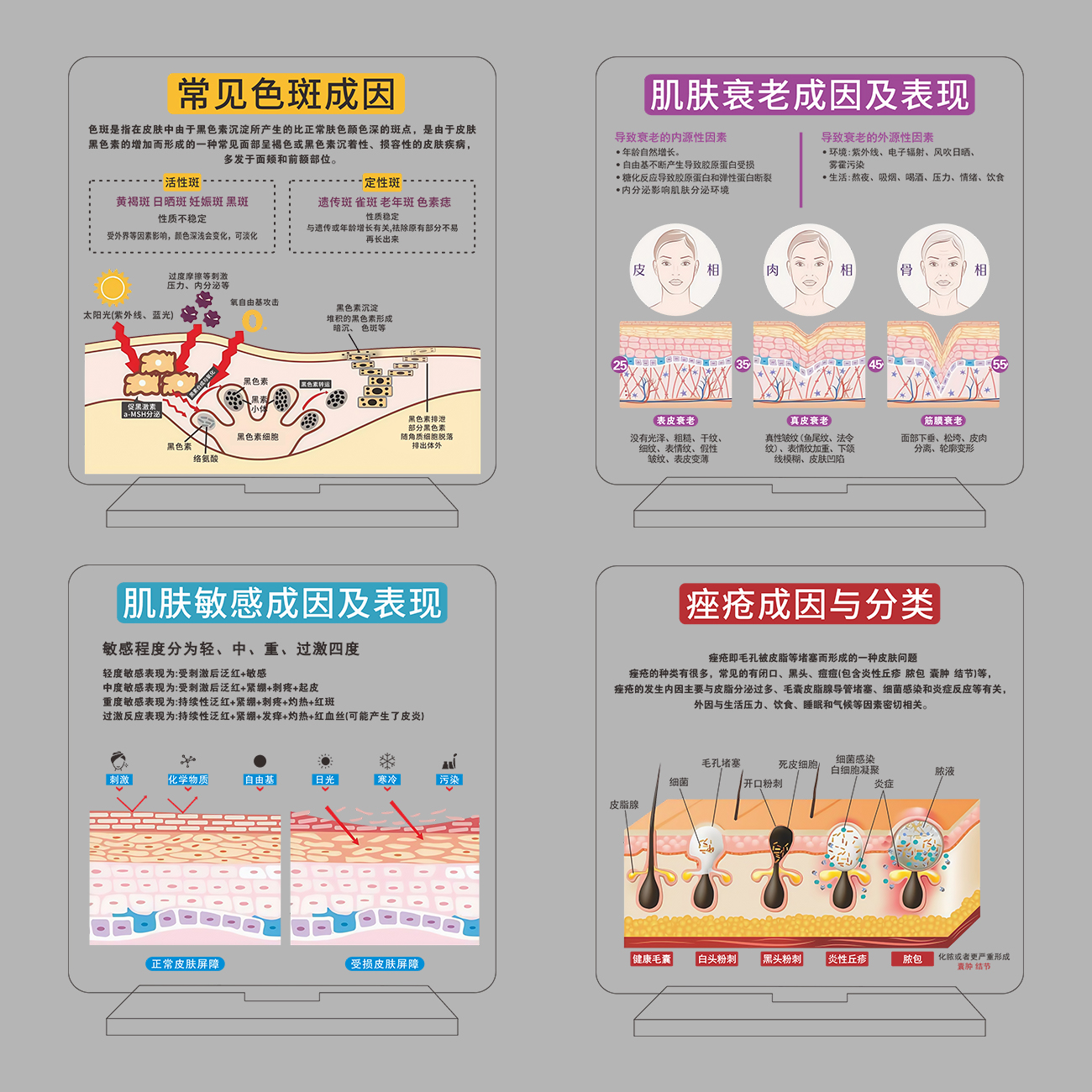 亚克力皮肤管理肌肤门店医美摆件知识护肤高颜值问诊简约美容院