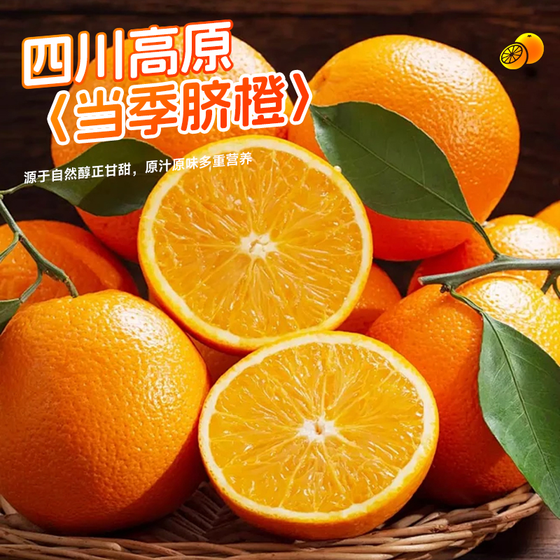 四川老树脐橙（高原脐橙）30年老品种橙子