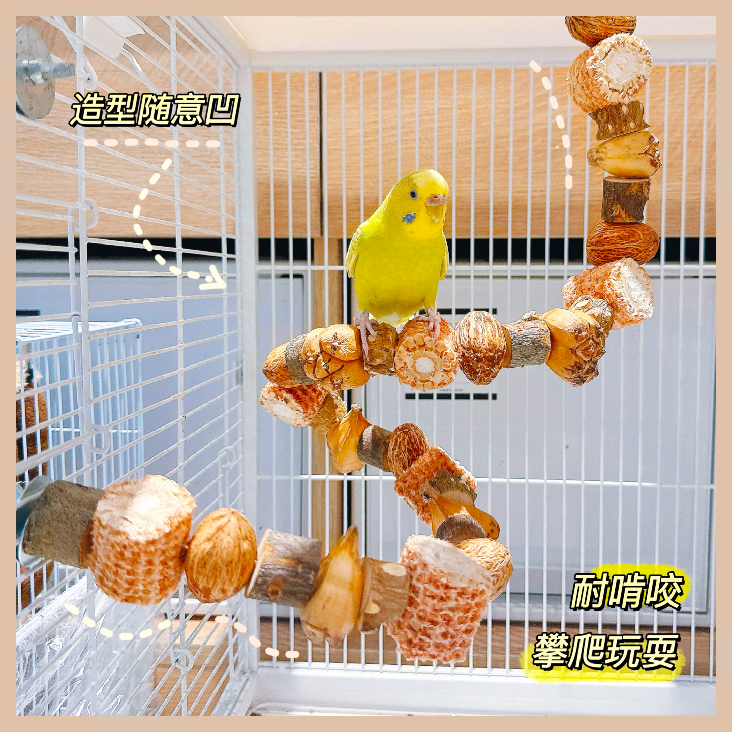 鹦鹉啃咬玩具小太阳天然解闷自嗨逗鸟架玄凤虎皮专用磨牙鸟笼站杆