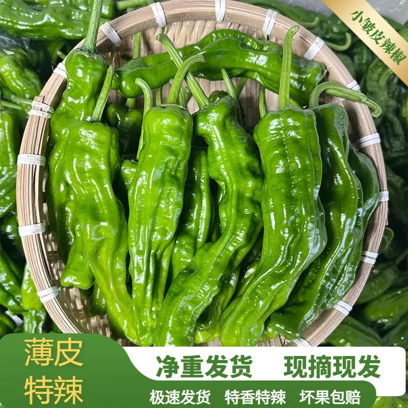 【新上市农家新鲜辣椒】正宗薄皮蔬菜不辣青椒现摘虎皮尖椒微辣好吃