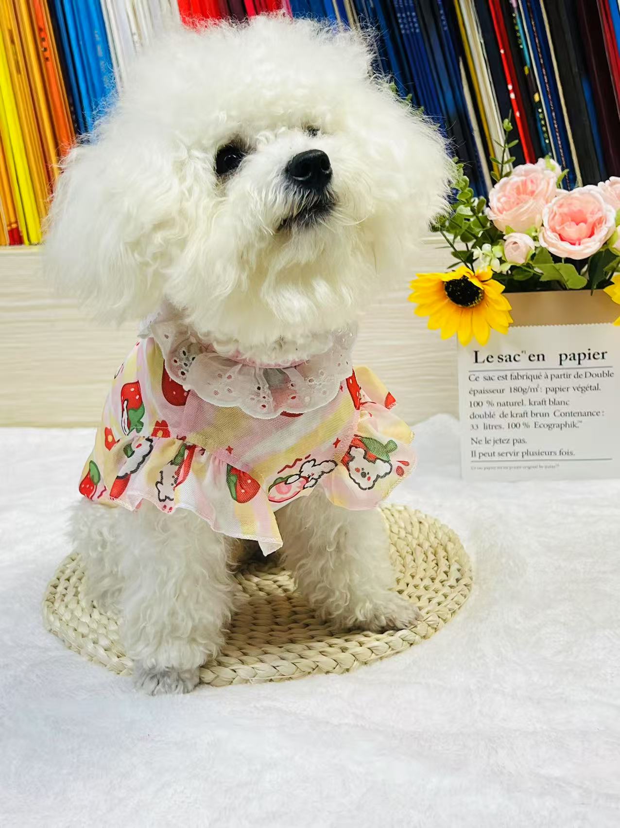 夏季猫猫狗狗小中大型犬网纱防掉毛猫咪背心狗狗衣服飞袖花边背心