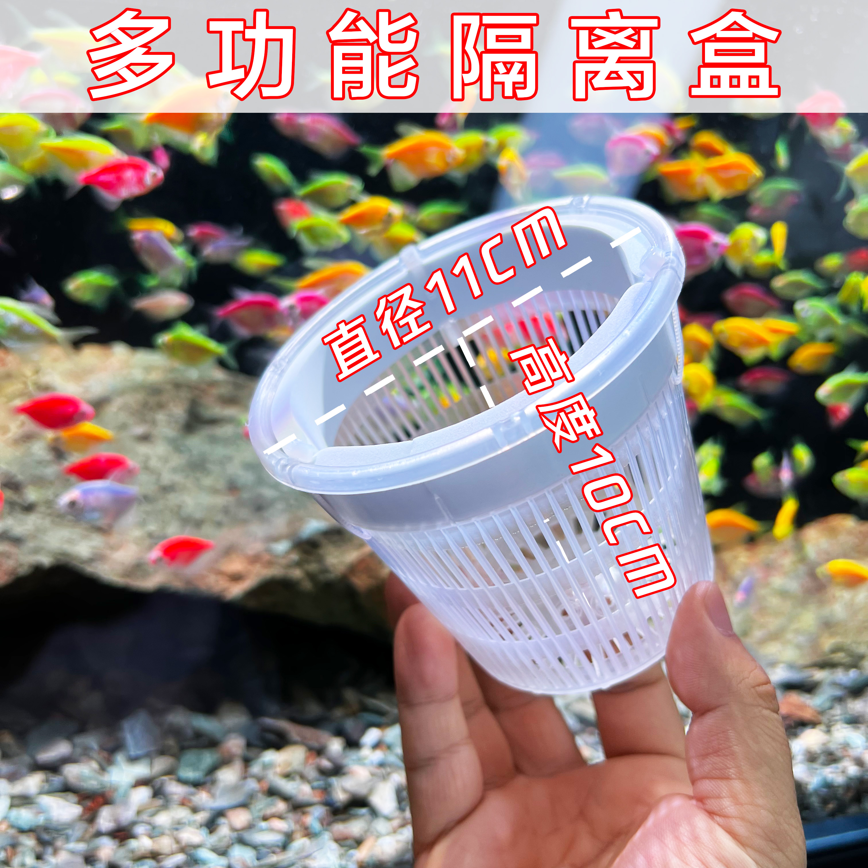 澜涬【新奇宠物】产房孵化隔离盒养鱼繁殖鱼苗必备水族隔离母鱼用品