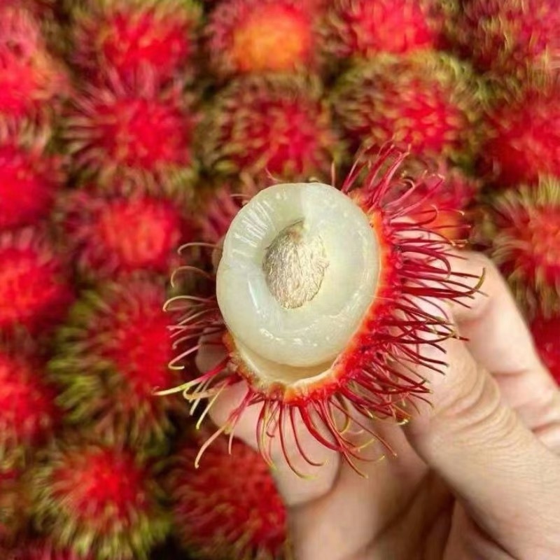 红毛丹海南新鲜孕妇水果现摘现摘现发当季热销树上熟热带大果