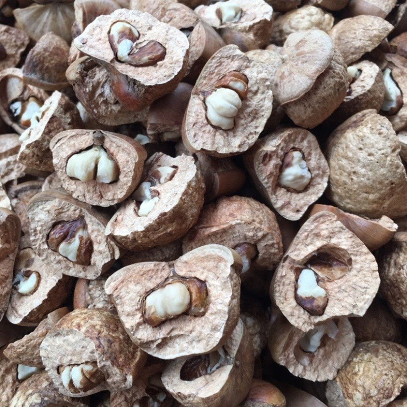 山区野果子泡酒料天然农产品苦瓜中药材石头果泡酒深山野葡萄