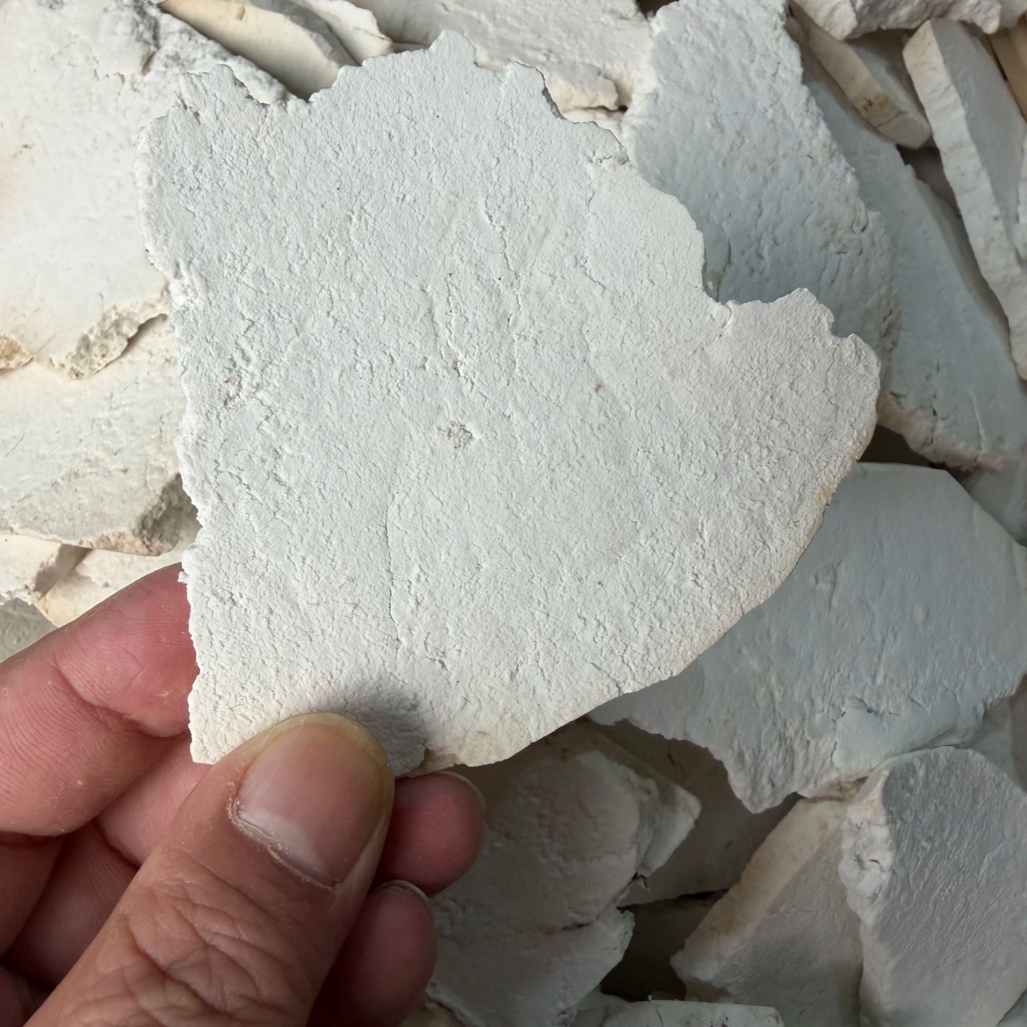 靖州白茯苓小片无熏硫茯苓正品茯苓干货茯苓白茯苓小片生切生晒