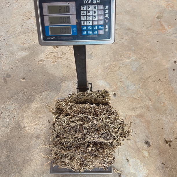 2斤装 三年陈艾草 蕲艾草 整棵折成捆的 适合煮水洗澡泡脚洗头