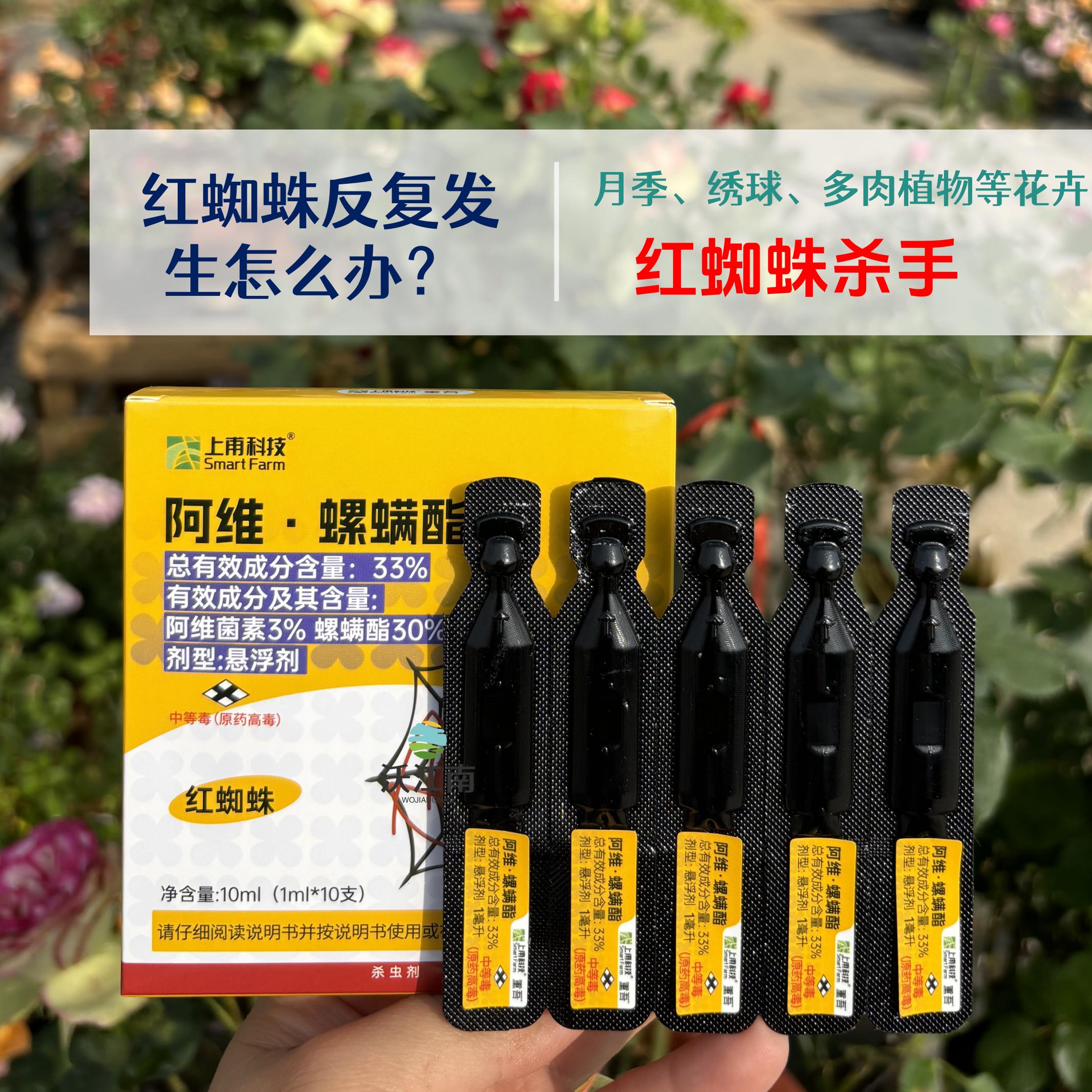 阿维螺螨酯花卉月季绿植果蔬玫瑰盆栽花药农药红蜘蛛小黑飞杀虫剂