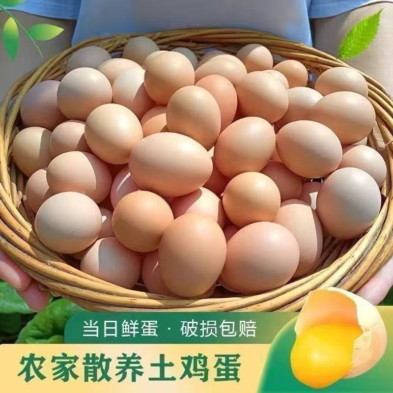 竹林蛋土鸡蛋30枚净重1350g营养土鸡蛋 产地直发 顺丰到家