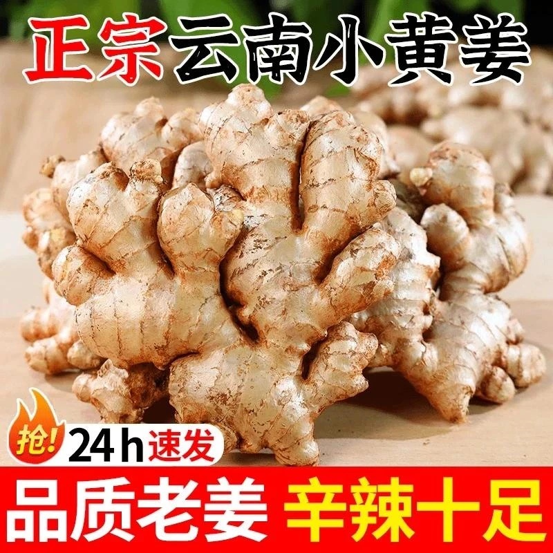 xy正宗云南小黄姜现挖山地种植香味浓郁辛辣适中2025年现挖新老姜
