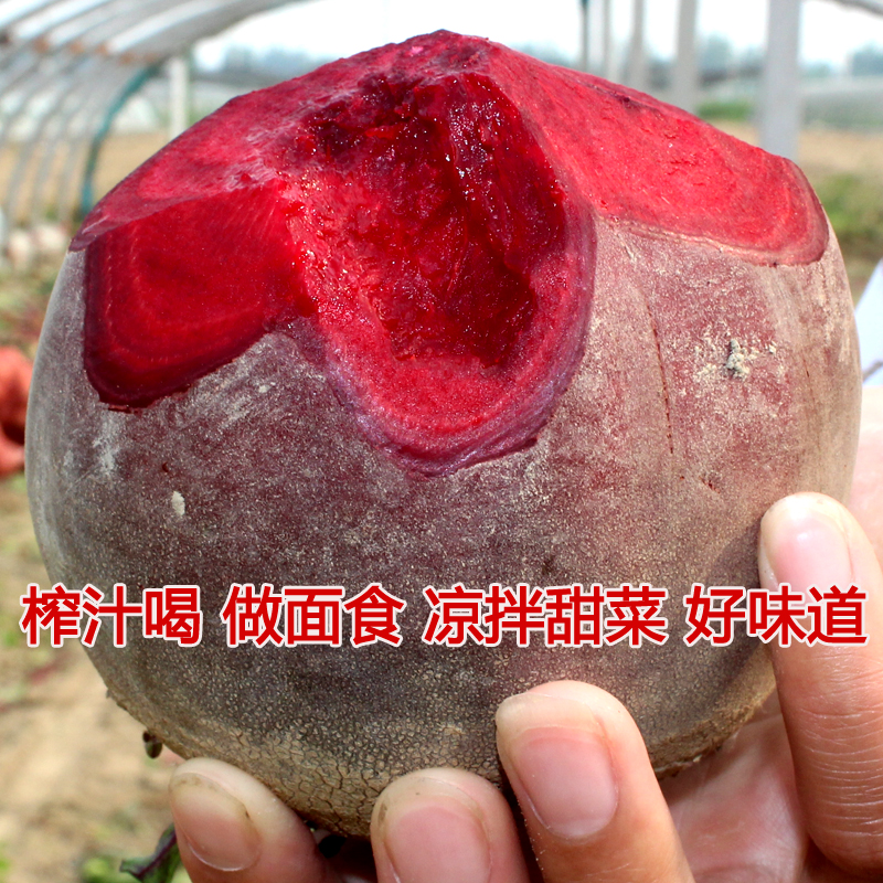 新鲜甜菜根红菜头甜菜头红心紫菜头鲜红根菜沙拉榨汁现挖农家蔬菜