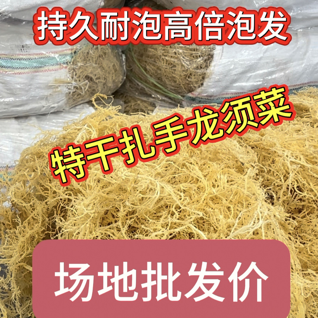龙须菜商用全干无盐凉拌菜食材干到扎手鹿角菜