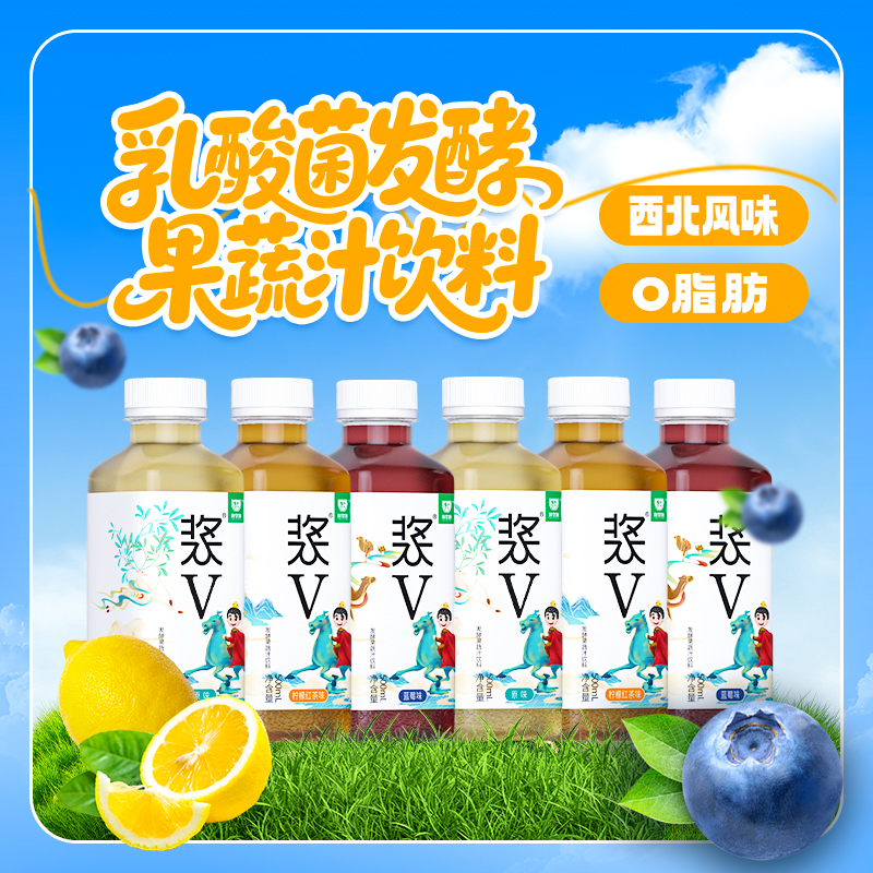 陇浆源 浆V发酵复合果蔬汁饮料解腻酵素果汁浆水饮品甘肃天水