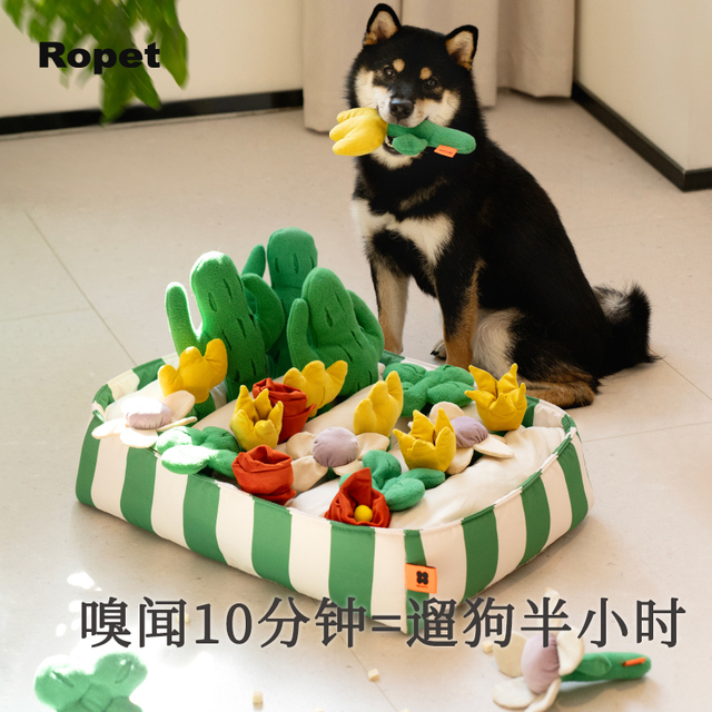 狗狗玩具猫咪宠物嗅闻发声玩具解闷藏食益智宠物六一礼物零食礼包