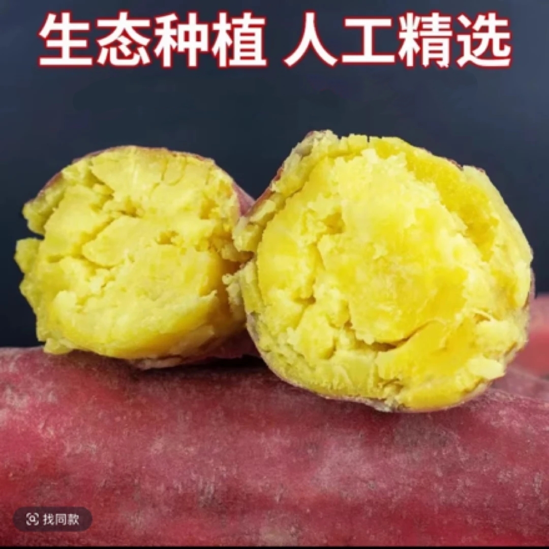 【买3斤送2斤到手5斤】新鲜现挖板溧红薯粉糯香甜正宗蜜薯红薯Q