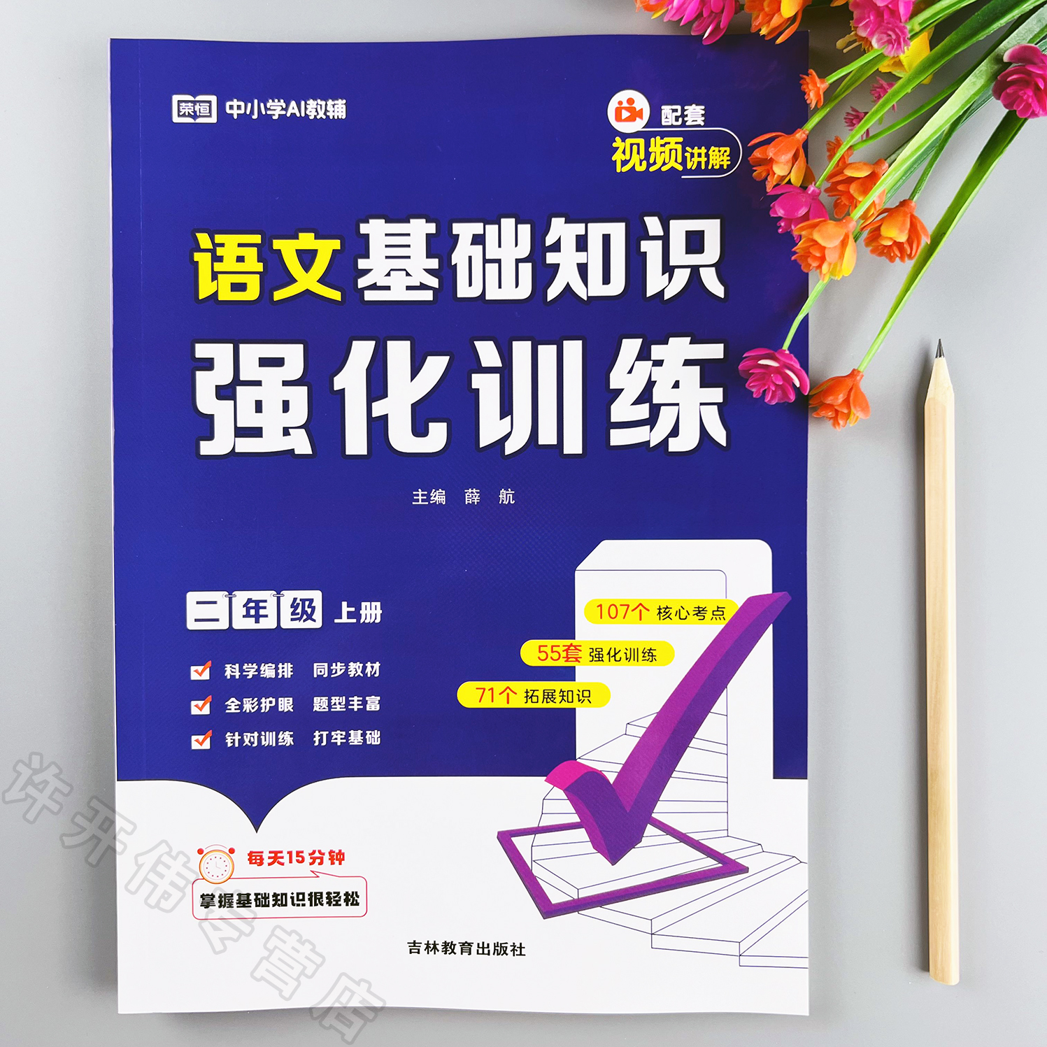 语文基础知识强化训练二年级上册语文同步练习册字词句专项训练书