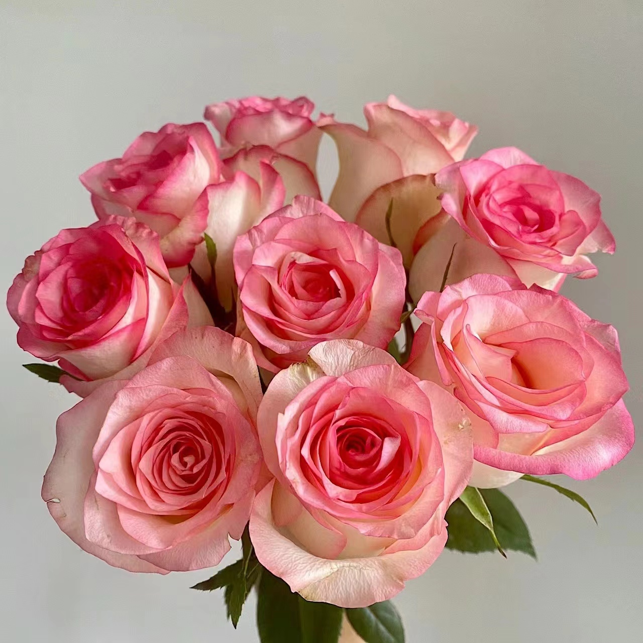 D3 艾莎10支+香槟10支+苏菲+洋桔梗+风铃+黄莺【0°以下拍保温棉】