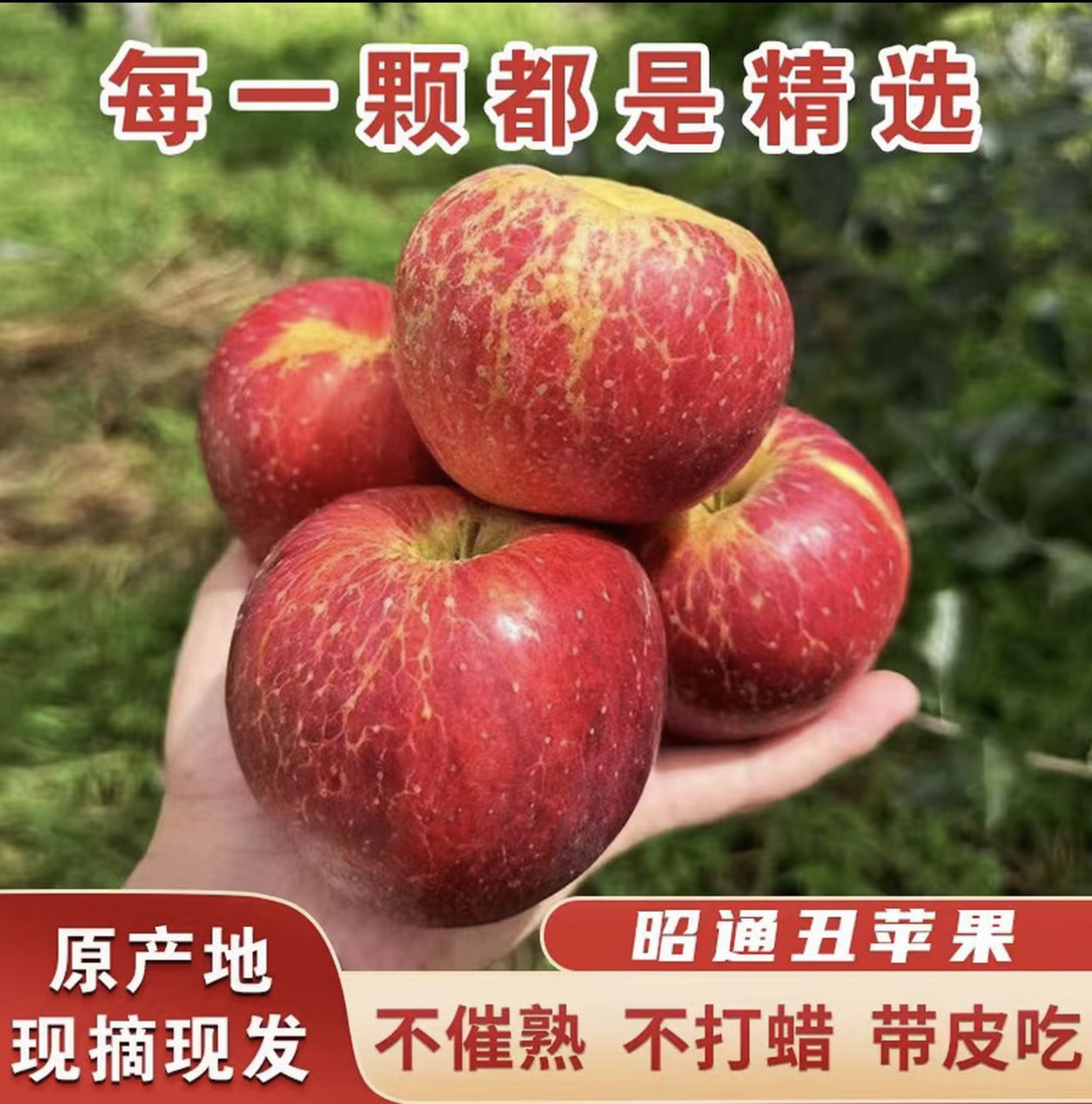 当季云南丑苹果冰糖心新鲜水果现摘现发脆苹果产地直发