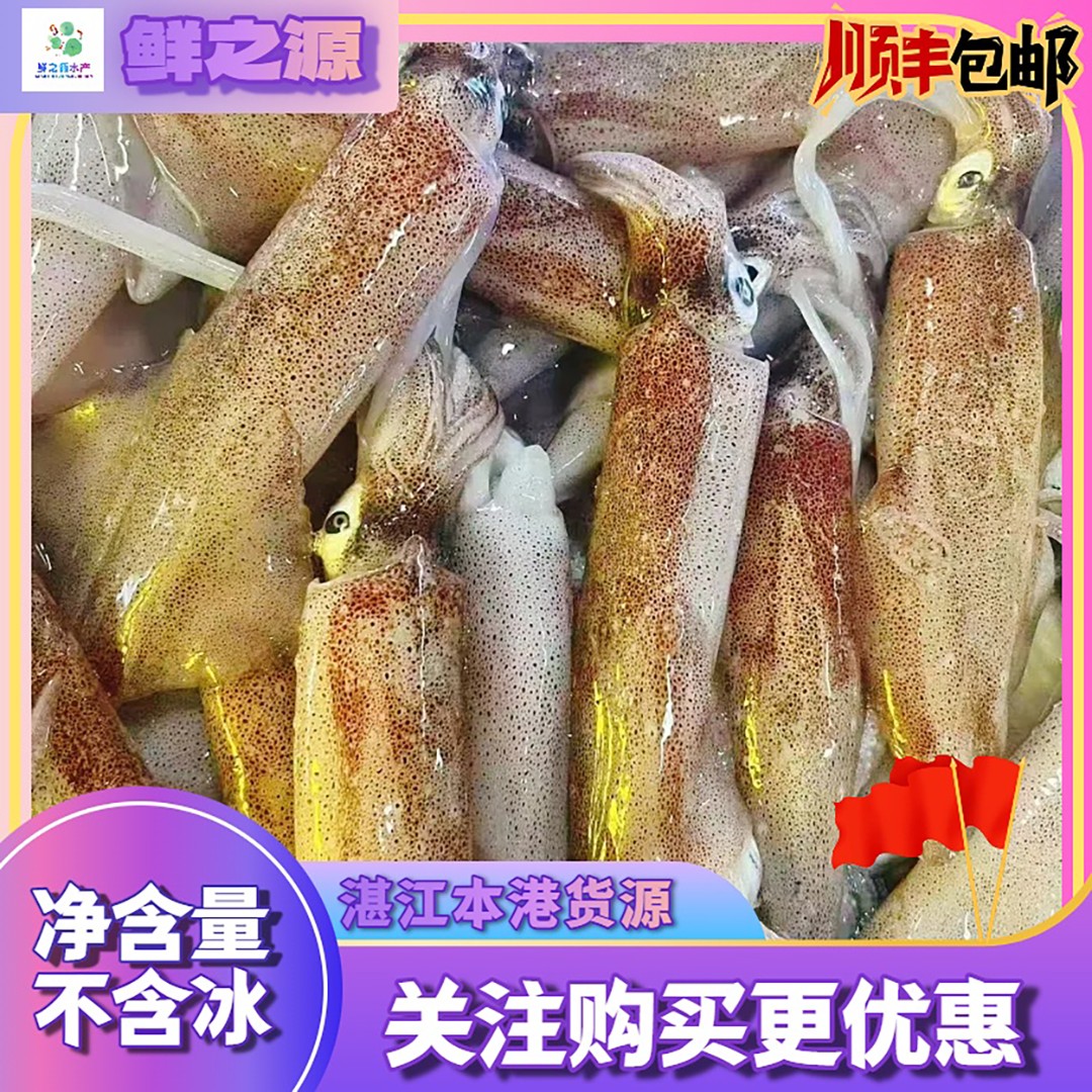 【湛江直发】海钓火箭筒鱿鱼 部分带籽 不缩水 6-8条/斤 顺丰包邮