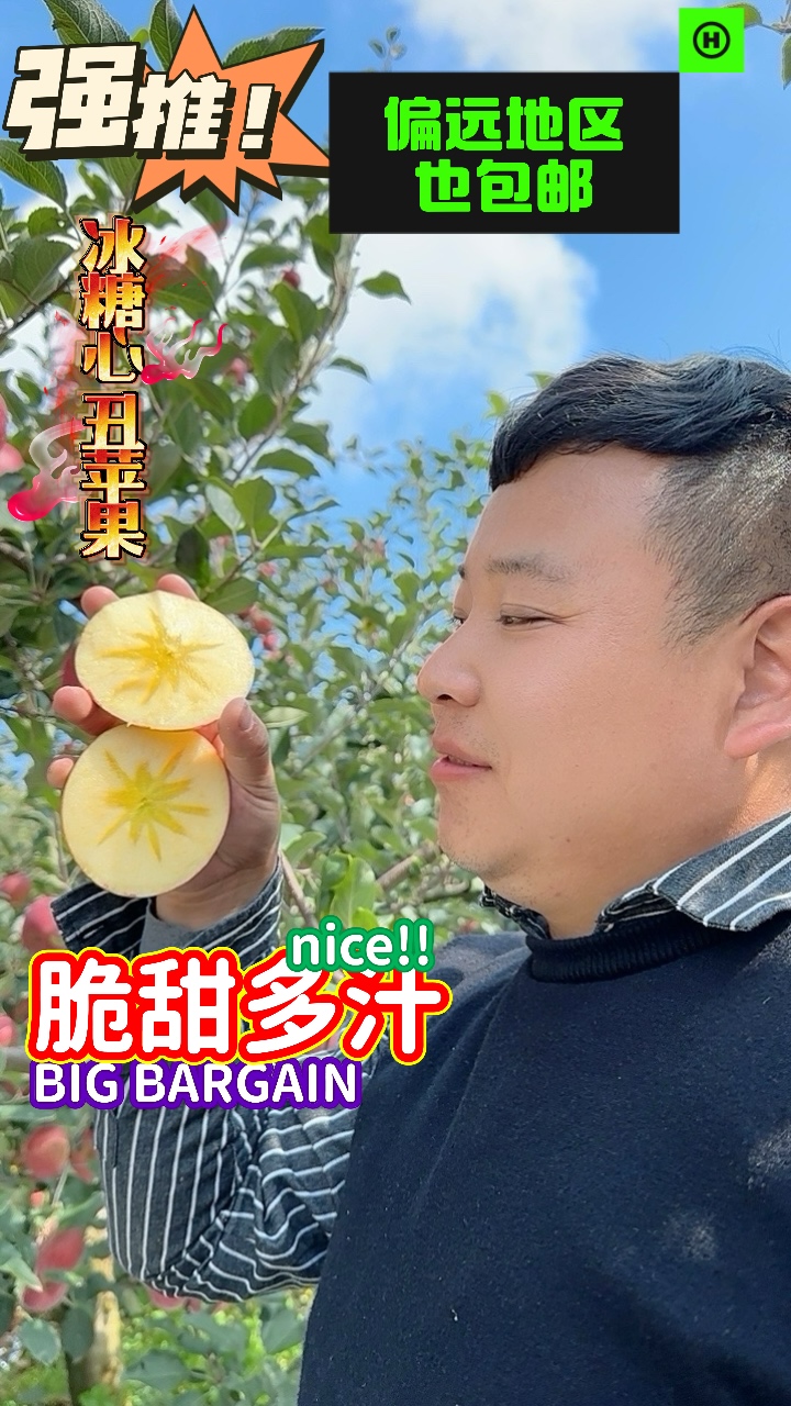 【胖墩墩甄选】云南昭通冰糖心丑苹果红富士