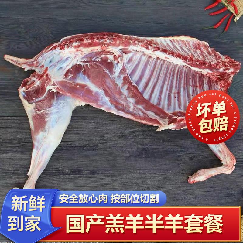 半只羊羊排羊腿羊蝎子散养羔羊内蒙古顺丰发货切块锡林郭勒直发