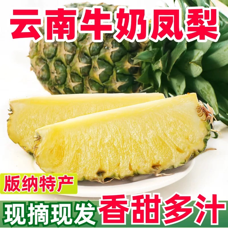 无品牌西双版纳黑钻凤梨牛奶凤梨新甘甜凤梨一口爆汁非海南凤梨