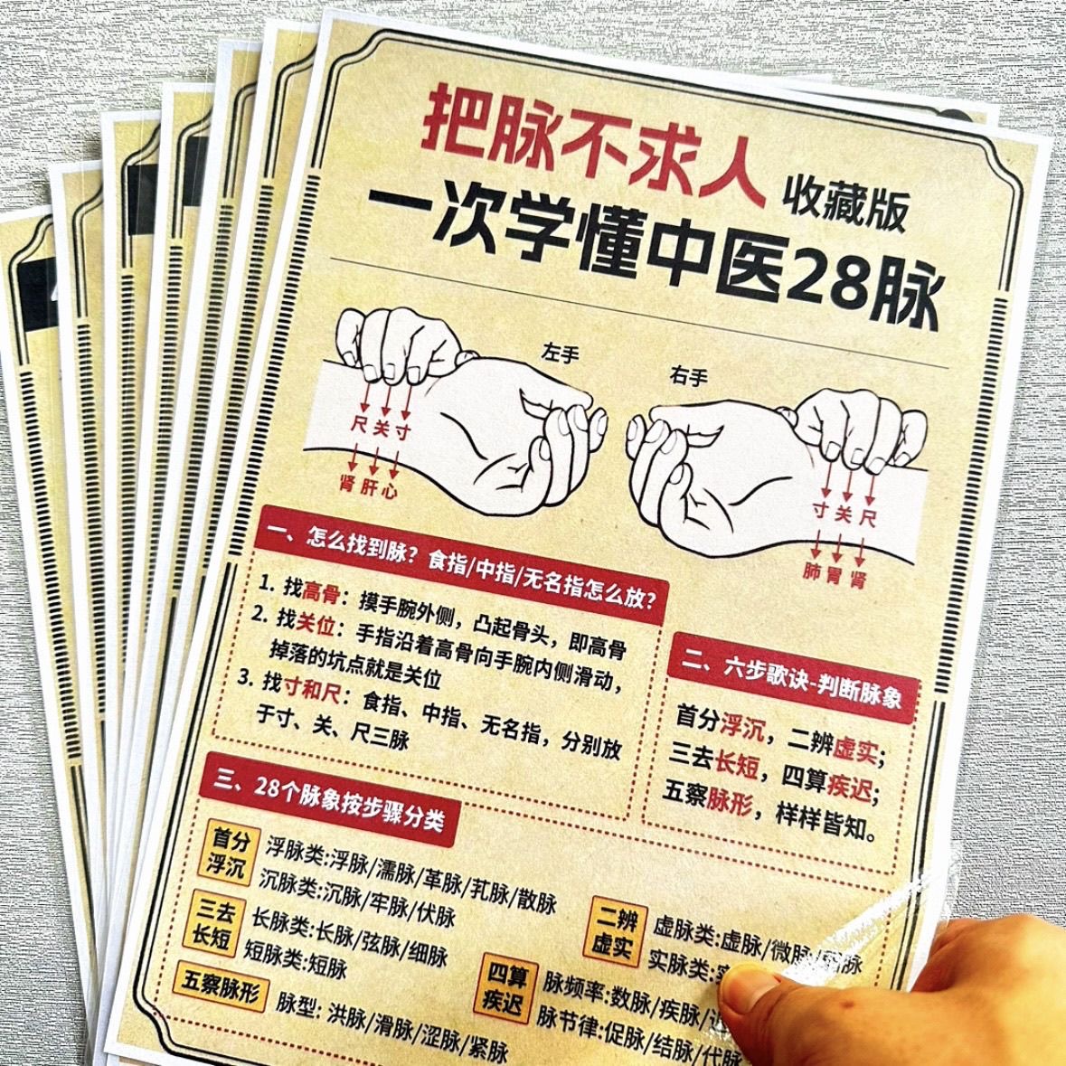 古传脉诊法中医脉学入门28脉全貌图解一篇速学懂中医28脉卡片塑封