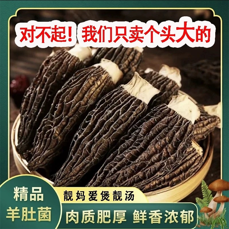 【4-6厘米大个头】特正级宗羊肚菌干货头茬新货干货肉厚羊肚菌煲汤
