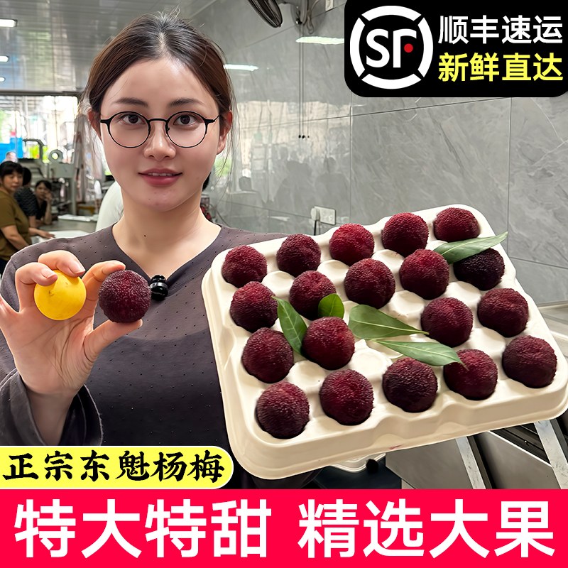 【仙居精品东魁8A】顺丰冷链杨梅大果20g-35g现货精品分颗礼盒装
