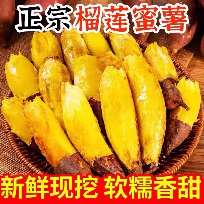 云南正宗丝滑榴莲蜜薯软糯香甜糖心新鲜烤地瓜番薯应季特产辅食