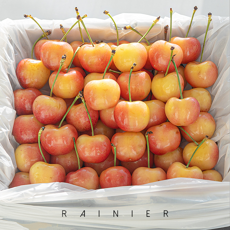 智利海运 雷尼尔黄金车厘子 脆甜黄樱桃 J-4J 1-4.4斤内附果径卡