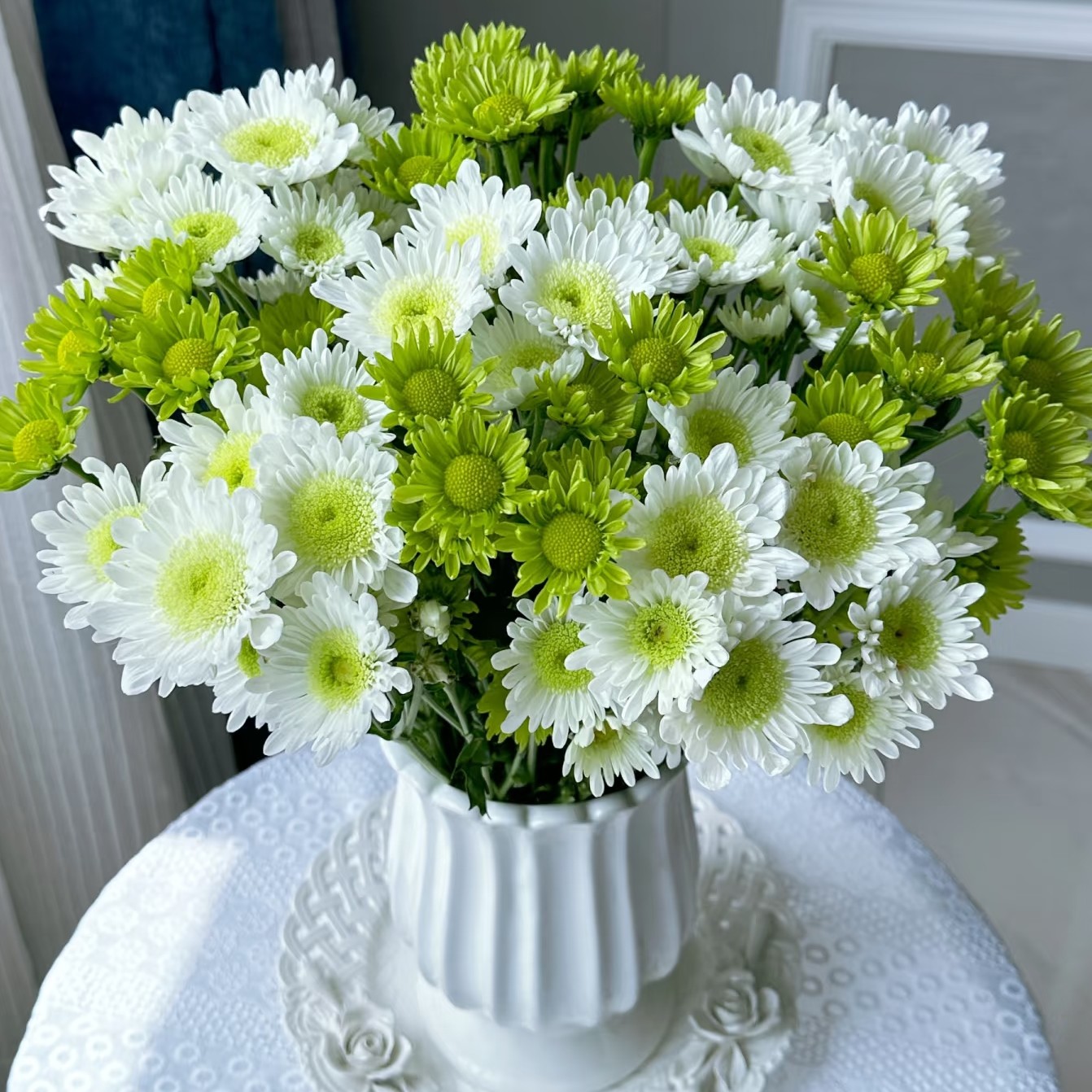 【小雏菊】多头10支/拉萨乌市等地包邮/超长待机王/耐运输花材