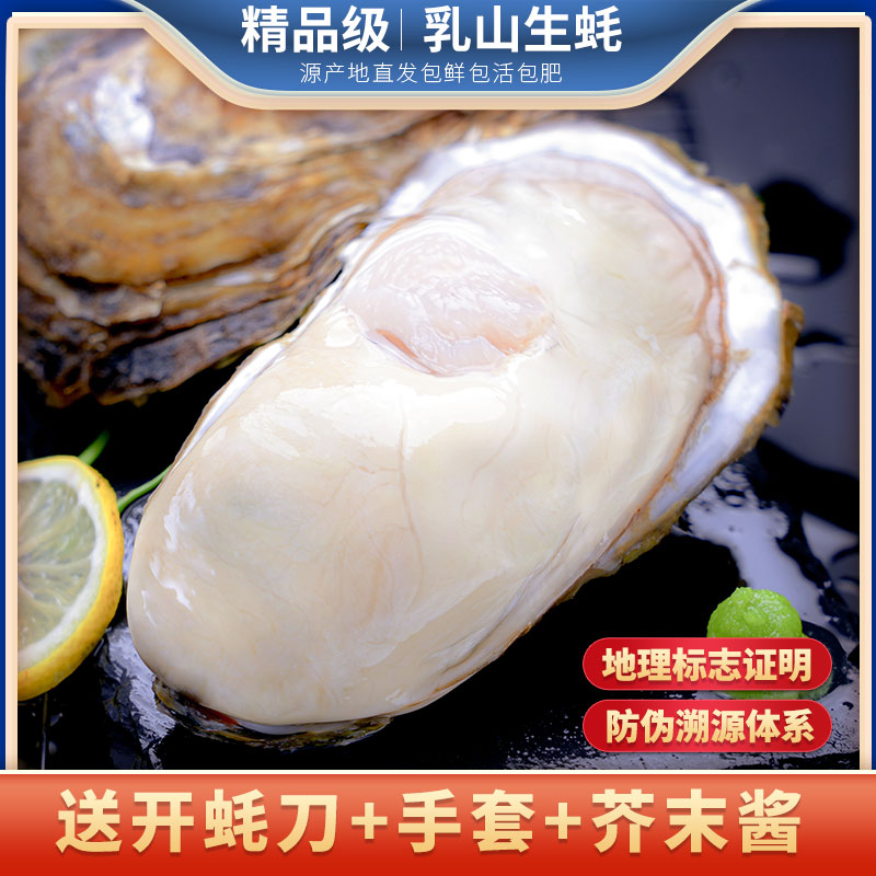 【姜师傅专属】乳山生蚝非免洗刺身原产地直发壳薄肉肥5斤