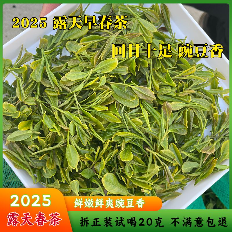 2025新茶上市早春茶纯手工制作鲜爽回甘豆香绿茶浓郁
