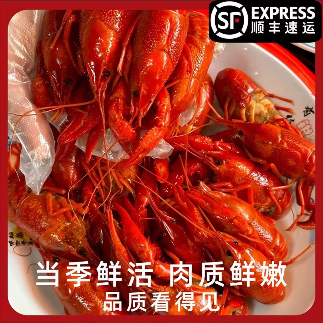 4斤（非即食）清水小龙虾4-6液氮活虾锁鲜需要冷水解冻后烹饪