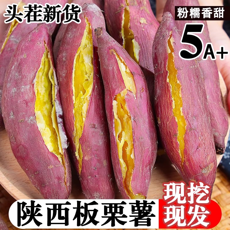 陕西板栗红薯粉糯香甜地瓜干面现挖沙地番薯蜜薯白薯山芋新鲜临潼