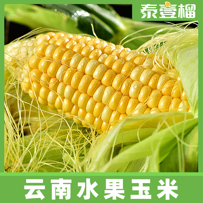 云南新鲜金银水果玉米甜玉米5斤脆甜多汁TY
