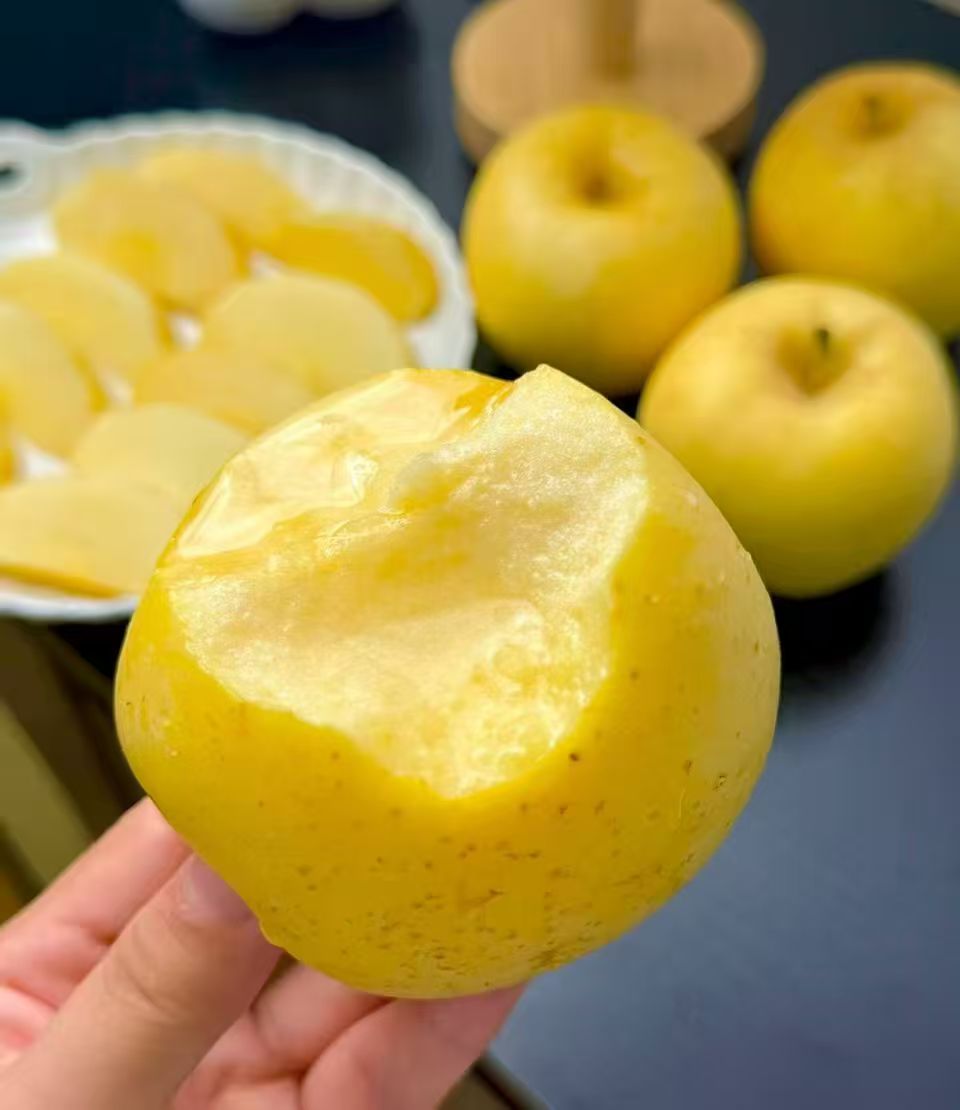 【黄金维纳斯】正宗大连维纳斯苹果当季水果脆甜多汁现摘现发