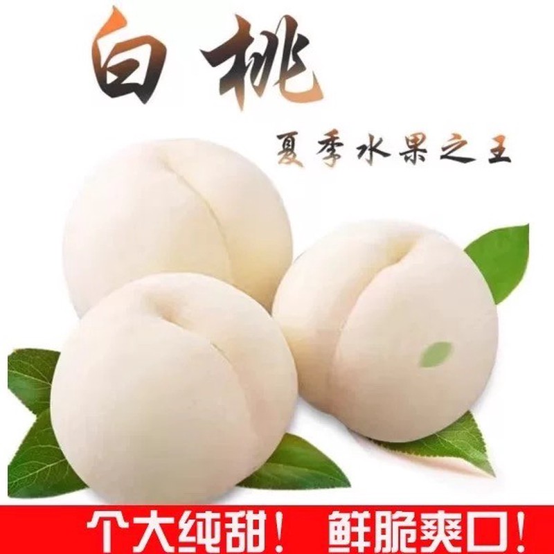 桃子新鲜鹰嘴白桃白如玉奶油白桃河南大白桃/斤水蜜桃