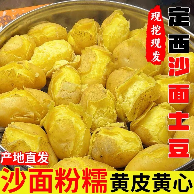 【试吃一斤】25年新鲜现挖甘肃定西包邮爆开花土豆软糯洋芋黄皮黄心