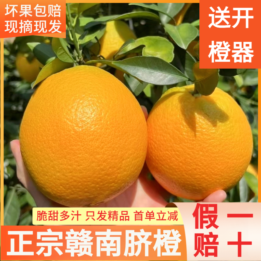 【坏果必赔】正宗赣南脐橙产地直发橙子赣南脐橙10斤装薄皮新鲜水果