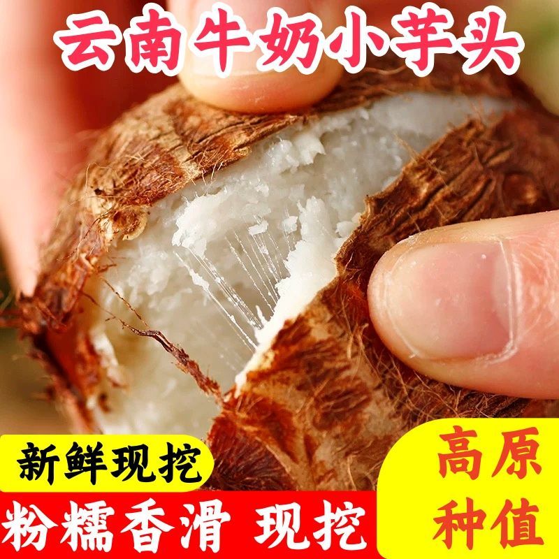 下单现挖】新鲜贵州牛奶芋头芋艿小芋头仔农家毛芋头软糯蔬菜批发