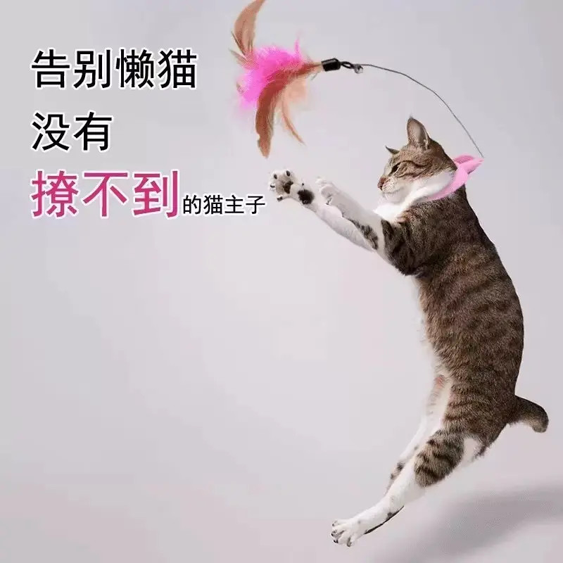 逗猫棒猫玩具挂脖逗猫棒自嗨逗猫棒羽毛加铃铛互动猫项圈猫咪玩具