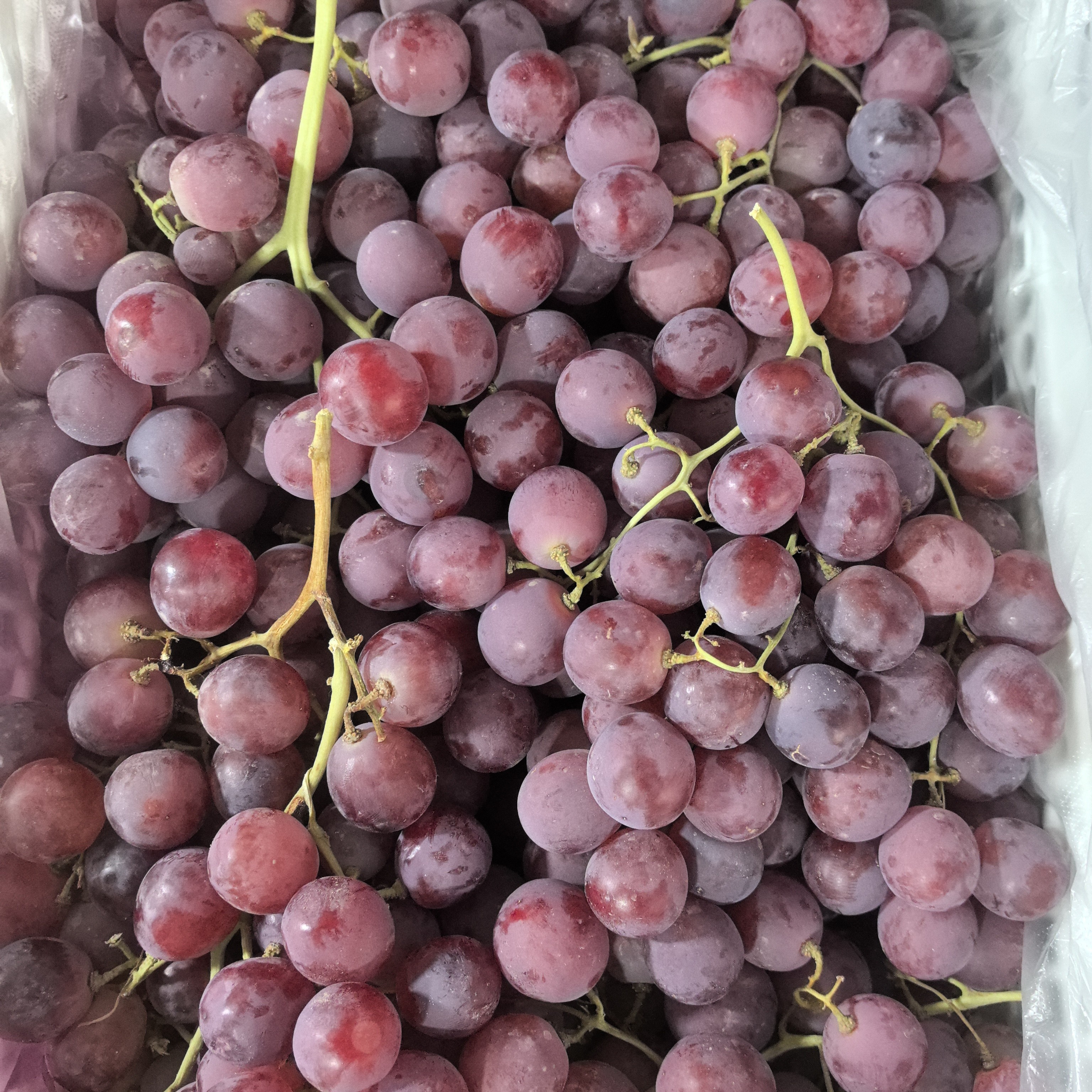 【顺丰空运】新疆红提葡萄新鲜甜地球清爽脆甜可口有籽新疆直发
