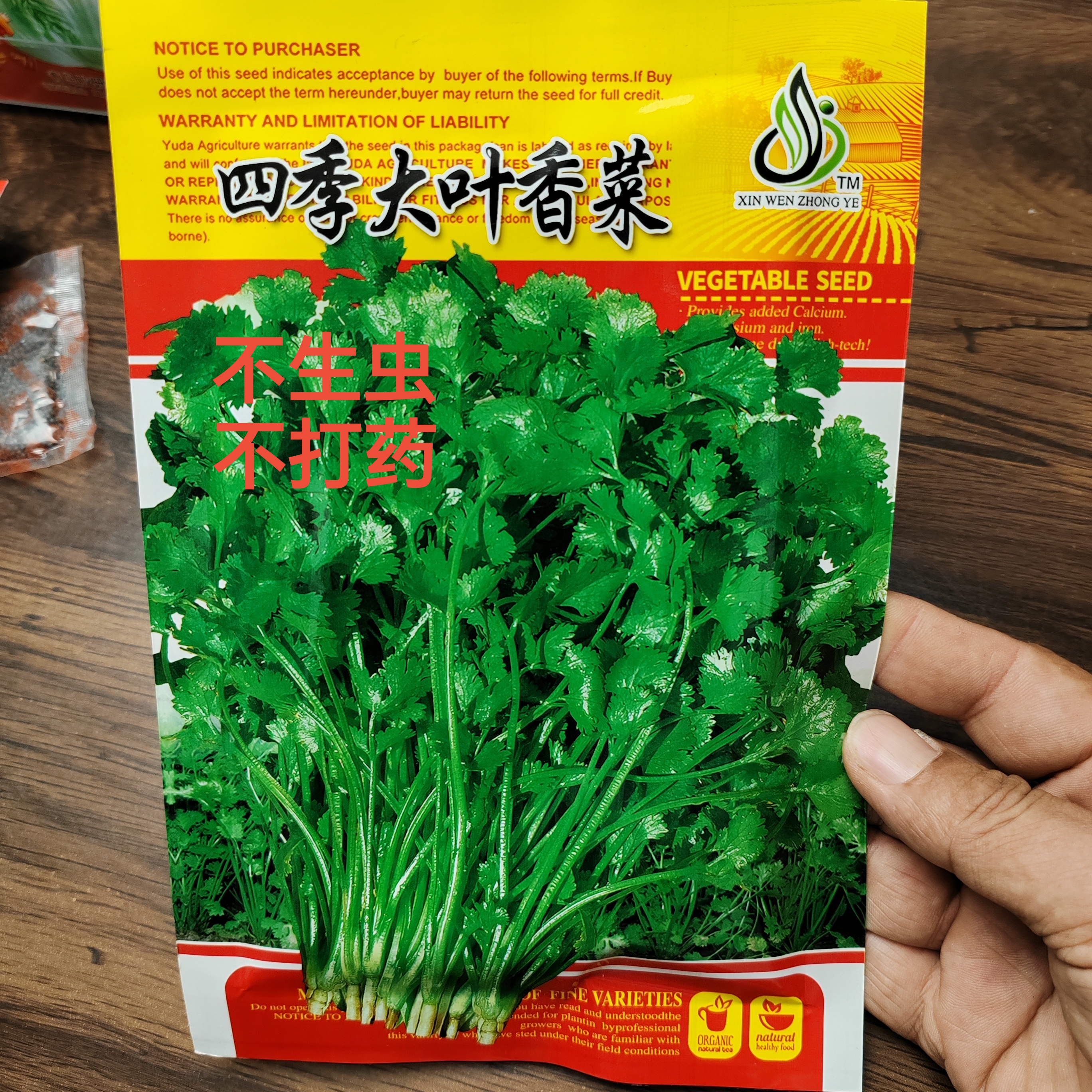 四季大叶香菜种子蔬菜大包装蔬菜种子香菜籽四季菜籽